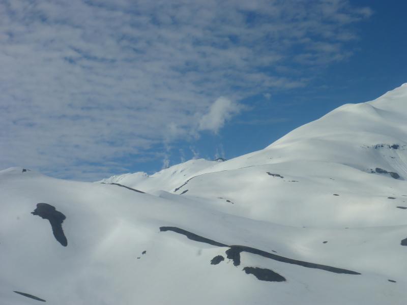 A view up toward the degassing summit dome of Great Sitkin, while on approach into the thermal springs on the south flank. Though the degassing is weak, it was an exceptionally still day and the gas was clearly observed rising vertically from several vents. A coherent gas plume was also observed at about the same time by a geology crew on Adak.