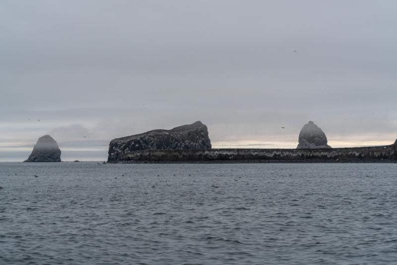 Remnant lava domes on Bogoslof Island, July 14, 2019. Fire Island (1883) on far left, the 1926-27 dome (middle; also known as Kenyon dome by the USFWS), and the 1992 lava dome on the right. Both the 1926-27 and 1992 domes were reduced in size by the explosive effects of the 2016-17 eruption. View is toward the northeast. 