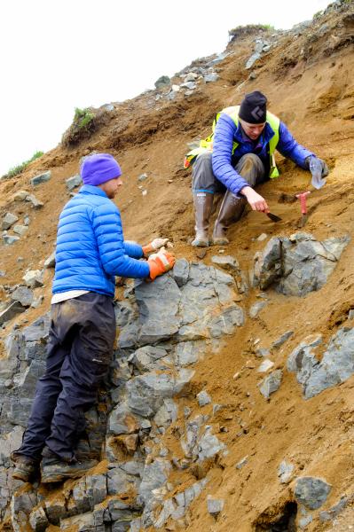Geologists Mark Stelten and Dawnika Blatter examining a tephra section in a quarry on Adak. 