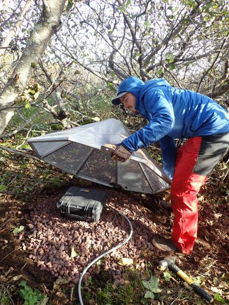 Upgrade of AVO&#039;s Sand Point infrasound array,  Oct 2019.
This 6-element listening array is designed to detect explosive activity at Pavlof Volcano, 90km (56 mi) to the west.  Alder groves provide excellent protection from the winds on Popof Island.  The perforated aluminum cone helps reduce wind noise.