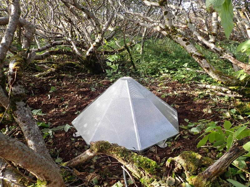 Upgrade of AVO&#039;s Sand Point infrasound array,  Oct 2019.
This 6-element listening array is designed to detect explosive activity at Pavlof Volcano, 90km (56 mi) to the west.  Alder groves provide excellent protection from the winds on Popof Island.  The perforated aluminum cone helps reduce wind noise.