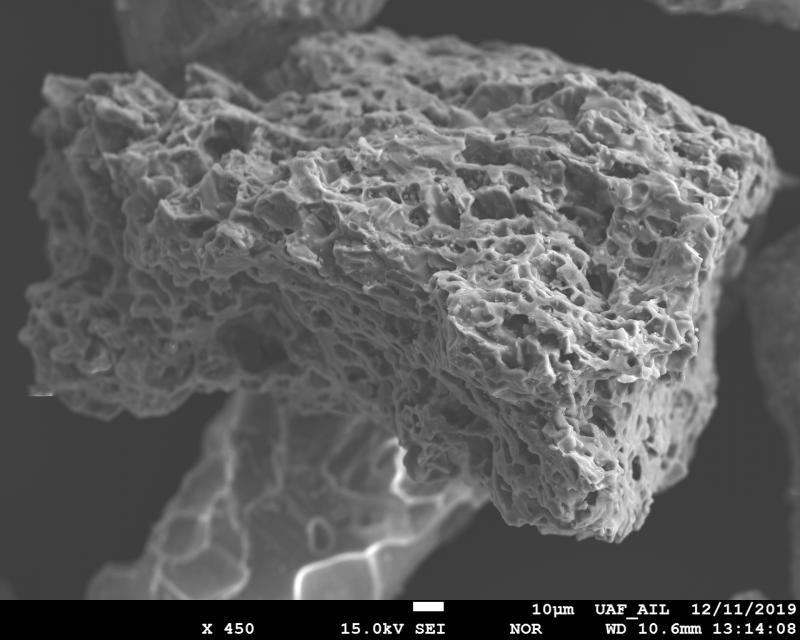 SEM image of ash particle from the June 27, 1992 eruption of Spurr Volcano. The sample was collected by Charles Elmore, a local Anchorage resident, immediately after the ashfall. The image was acquired using JEOL 8350f electron microprobe at the Advanced Instrumentation Laboratory, University of Alaska Fairbanks. 