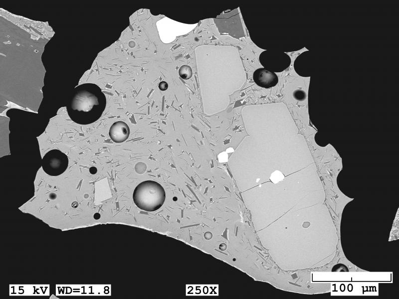 Backscattered electron image of tephra sample erupted from Shishaldin tephra erupted April 19, 1999. Dark gray crystals are plagioclase, light gray olivine, and white are Fe-Ti oxides. This imaged grain has a clean glassy matrix mixed with highly elongate plagioclase microlites. Image taken with a JEOL 6510LV Scanning Electron Microscope.