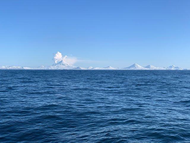 View of Shishaldin in eruption as viewed from the north, January 18, 2020. Photo courtesy of Seth McCallum.
