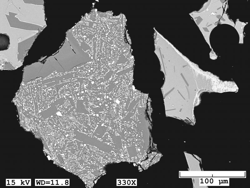 BSE image of tephra grain erupted from Shishaldin January 7, 2020, collected by the Department of Transportation in Cold Bay. The largest grain contains dark gray crystals (plagioclase), light gray (olivine), and white are Fe-Ti oxides. This grain has a completely devitrified (crystallized) groundmass. Additional grains consist of clean glass groundmass with plagioclase and Fe-Ti oxides. Image taken with a JEOL 6510LV Scanning Electron Microscope.