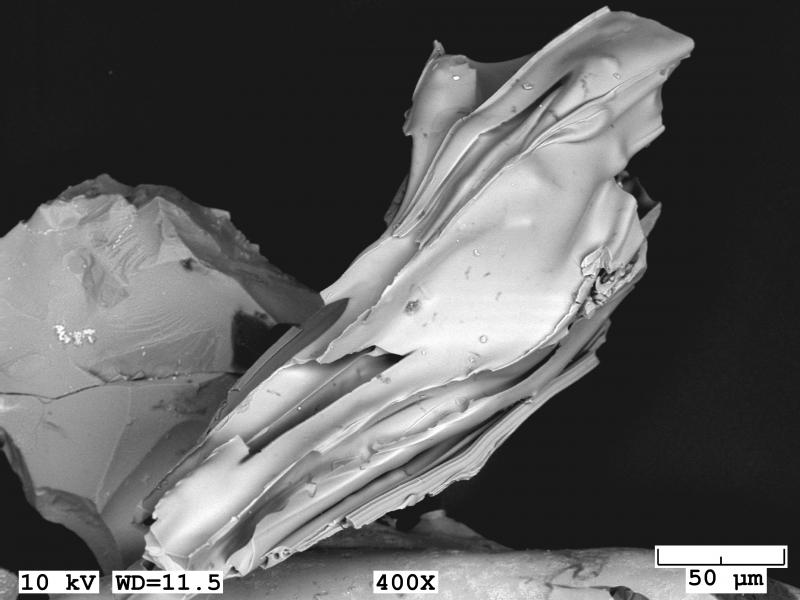 Scanning electron microscope (SEM) image of tephra morphology from material erupted from Shishaldin Volcano on January 19, 2020.  Sample collected in False Pass, AK by Melanie Hoblet. Image taken with a JEOL 6510LV SEM in low vacuum mode. 
