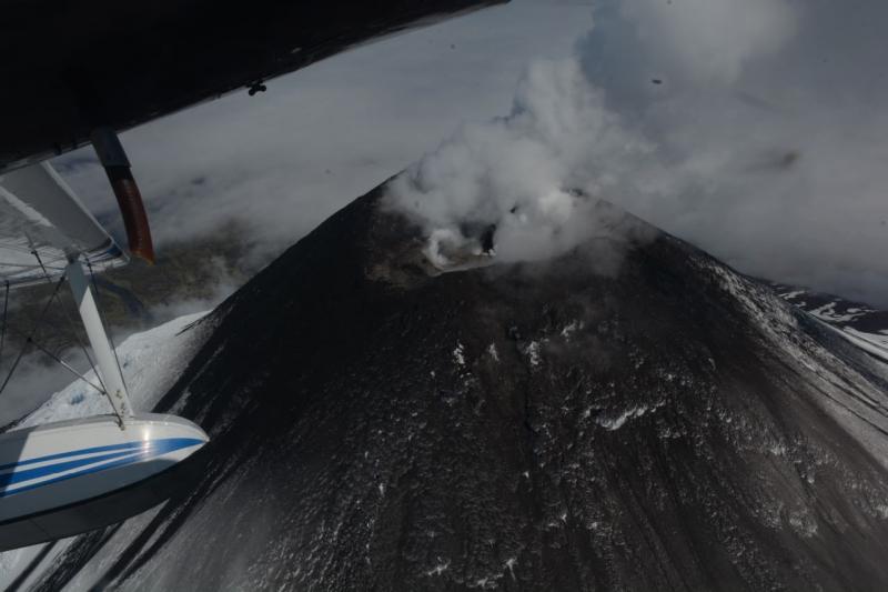 Cleveland volcano, June 3, 2020. Photo courtesy of Burke Mees.