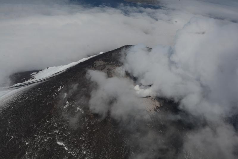 Air photo of Cleveland Volcano, taken by Burke Mees, pilot.