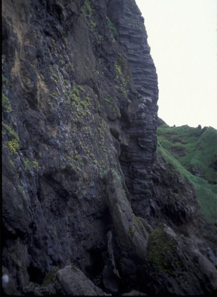 Kettle Cape outcrop on the south flanks of Okmok caldera. This outcrop is on the beach. The photo shows a dike cutting through palagonitized pyroclastic rocks that probably represent hyaloclastite deposits associated with ice-contact volcanism.