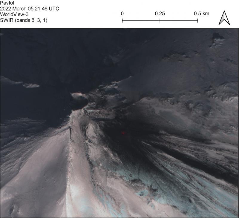 Near-IR false color WorldView-3 satellite image on March 5 at Pavlof. No active lava flows are visible but the active east vent is hot (near-IR red) and ballistic impacts are visible in the snow around this vent. Only steaming is visible from the north vent. 