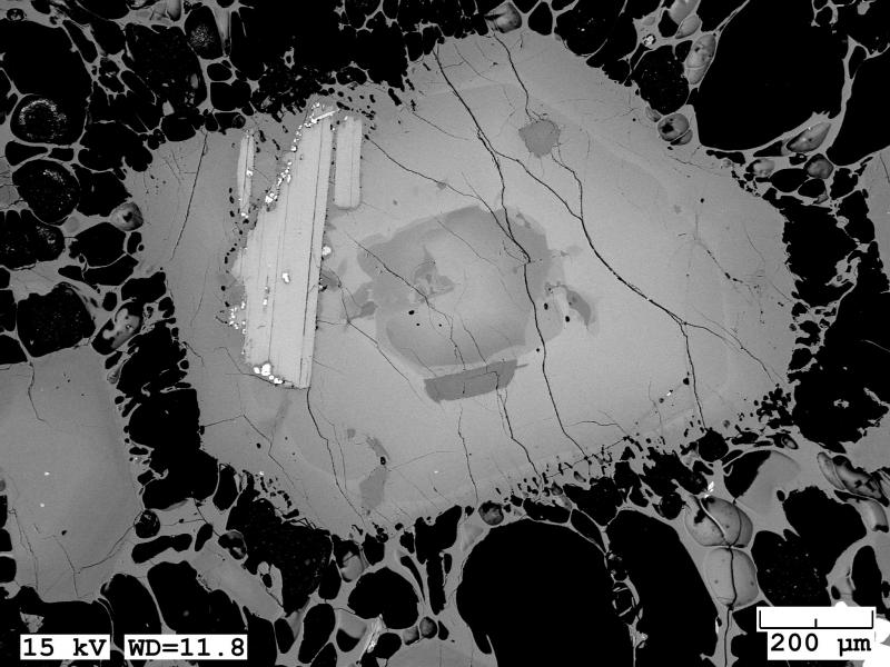 BSE image of trachyte pumice erupted from Bogoslof in 2017. Imaged is a large zoned sanidine phenocryst with plagioclase (dark gray) and biotite inclusions in a glassy, highly vesicular matrix. 