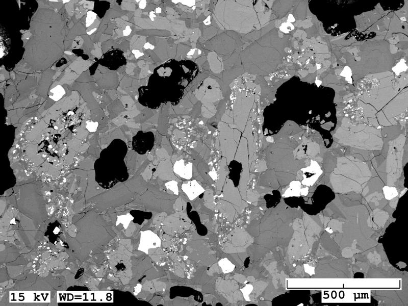 BSE of a quenched mafic inclusion erupted from Bogoslof in 2017 (18CW100-13). Prominent amphibole with reaction rims are visible. Sample is highly crystalline, but unlike host scoria, the groundmass is glassy. 