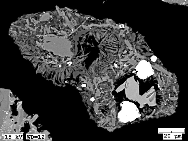 BSE image of altered tephra grain collected from the January 31, 2017 eruption at Bogoslof. 