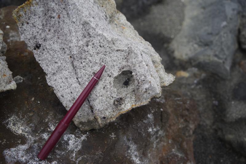 Fragment of a light colored trachyte pumice of the 2016-17 Bogoslof eruption. Please note the 3-cm-diameter cavity with a dark, dense lithic fragment suspended on the web of glass needles. This cavity likely formed as the result of heterogeneous nucleation of vesicles at the surface of lithic fragment during re-melting of the trachyte xenolith by host basalt.