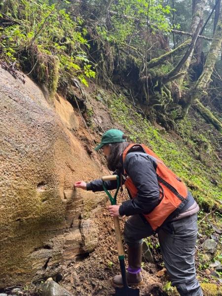AVO Edgecumbe discussion and outreach Sitka trip, May 2022. Photo courtesy of Jacyn USGS geologist Cheryl Cameron examines a Late Pleistocene tephra deposit from Mount Edgecumbe, May 3, 2022. Photo courtesy of Jacyn Schmidt, Sitka Sound Science Center.