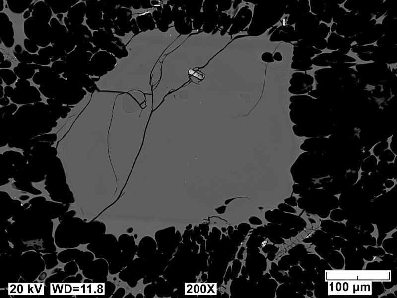 Backscatter electron polished mount image of an Edgecumbe rhyolite pumice (sample 82ARJ136). Image acquired on an JEOL 6510LV SEM at 20 kV, 12 mm working distance, spot size of 65, and in BEC imaging mode.
