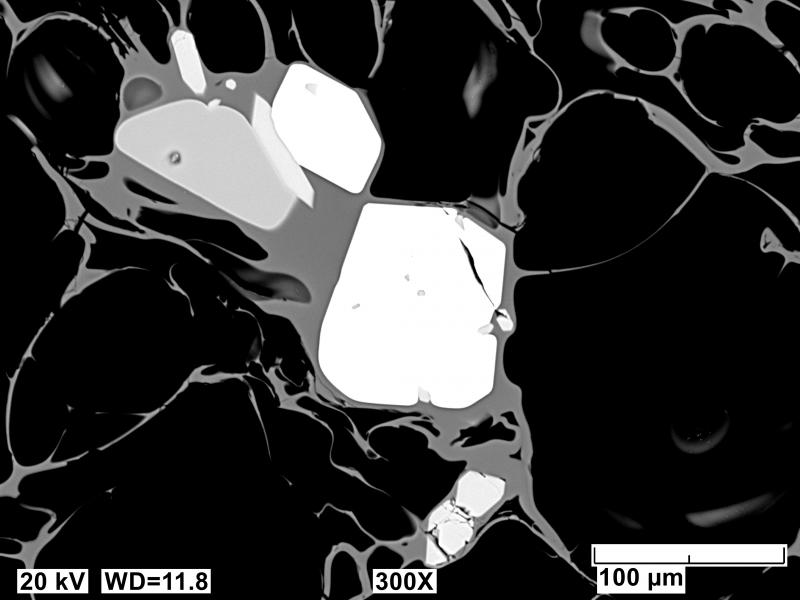Backscatter electron polished mount image of an Edgecumbe dacite pumice (sample 81ARJ75A). Three small minerals (white = ilmenite, very light gray = apatite, medium gray = pyroxene) are visible in a glassy and highly vesicular matrix. Image acquired on an JEOL 6510LV SEM at 20 kV, 12 mm working distance, spot size of 65, and in BEC imaging mode.