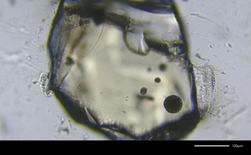 Photomicrograph of crystallized melt inclusion (~53 x 53 &micro;m) from Mount Edgecumbe scoria sample 81ARj73A. Crystal picked from 250-500 &micro;m size fraction.