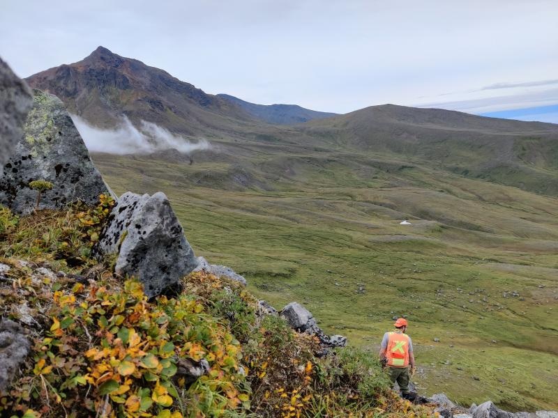 AVO personnel collect rock samples on the edifice of Mount Moffett on Adak Island during fieldwork in the central Aleutians in summer 2023.