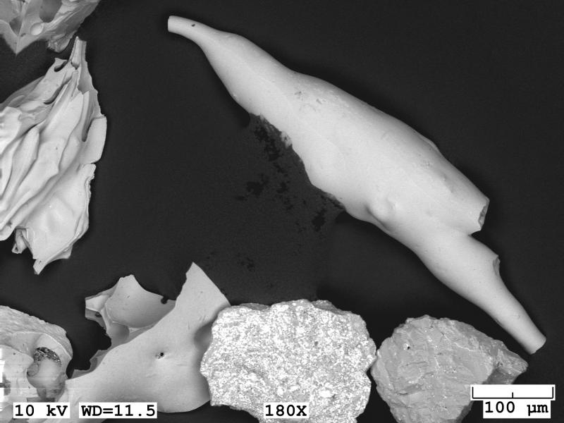 Scanning electron microscope (SEM) image of tephra morphology from material erupted from Shishaldin on January 7, 2020, and collected by the Department of Transportation in Cold Bay. Image taken with a JEOL 6510LV SEM in low vacuum mode. 