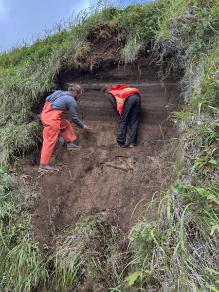 AVO geologists examine a tephra site in a drainage on the south flank of Kanaga Volcano on Kanaga Island during fieldwork in the central Aleutians in summer 2023. Layers of tephra and soil are above the geologist's feet, and they are standing on a thick pyroclastic flow deposit.