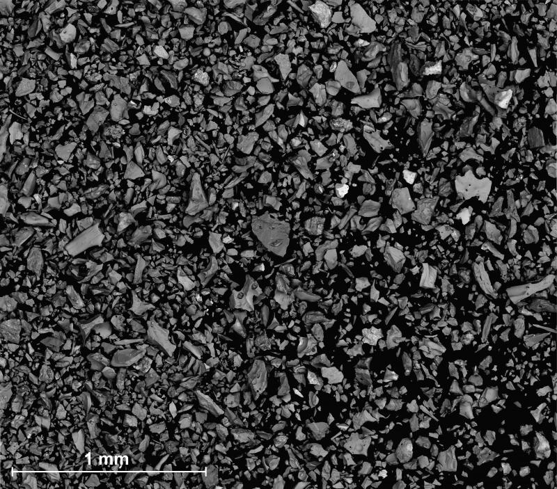 Scanning electron microscope image of Shishaldin ash that fell on the R/V Sikuliaq approximately 300 km NE of Shishaldin on August 26, 2023 (Event 8 of the 2023 eruption). Most ash grains are 63 to 125 &micro;m across and glassy (smooth curved surfaces). 