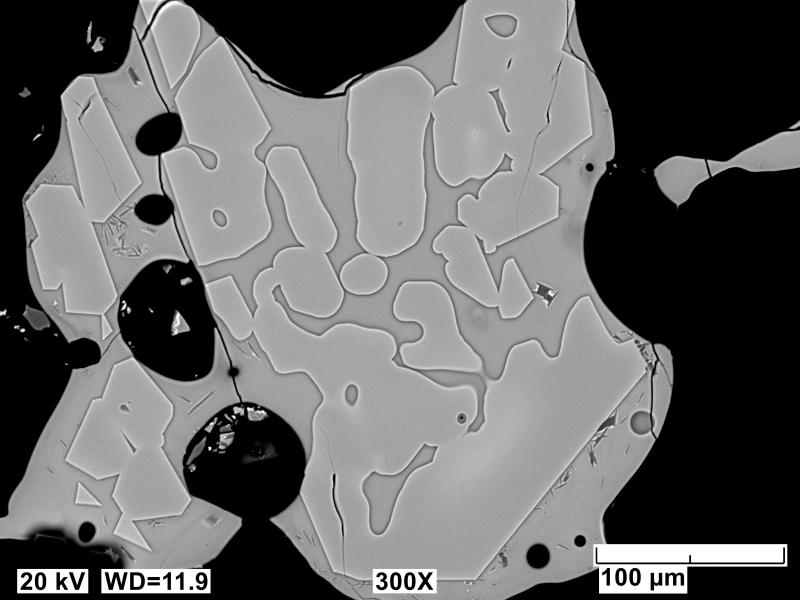 Backscatter electron images (BSE) of polished sections of tephra erupted from Shishaldin in 2023 and collected near AVO station ISNN northeast of the volcano. Sample has a vesicular, glassy matrix, and in this image sections a complex olivine form, possibly an intersection of skeletal growth.