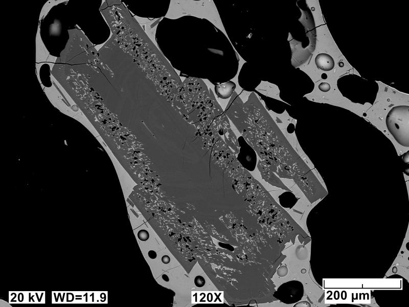 Backscatter electron images (BSE) of polished sections of tephra collected on the south coast of Unimak Island and probably erupted from the 2023 Shishaldin eruption. Image shows a plagioclase phenocryst with a highly sieved zone hosted in a vesicular and glassy host tephra.
