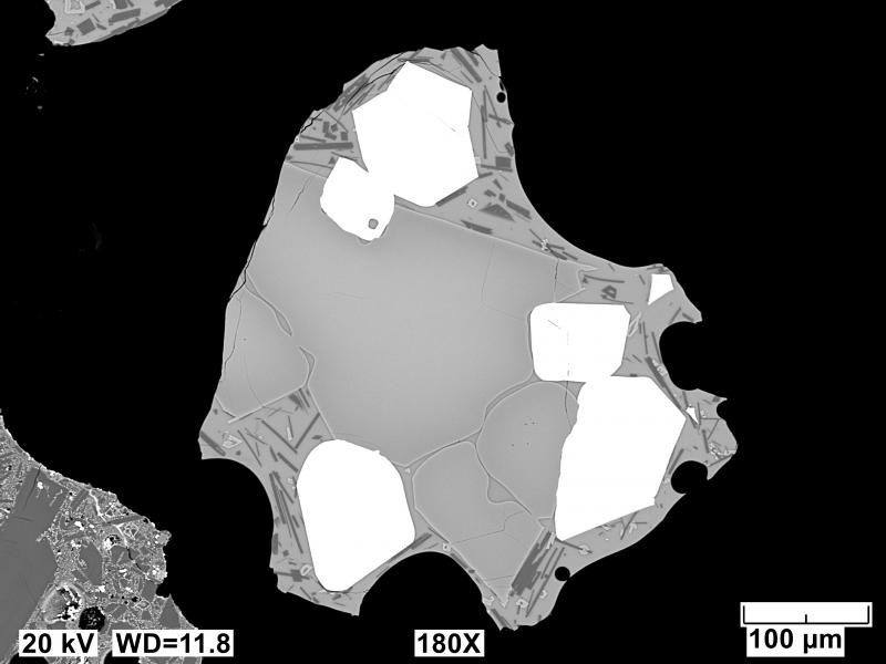 Backscatter electron images (BSE) of polished sections of tephra erupted from Shishaldin in 2023 and collected in False Pass, AK, during event 11. Sample has a reverse-zoned olivine (light gray) with Fe-Ti oxides (white) in a microlitic (plagioclase, dark gray) vesicular matrix.