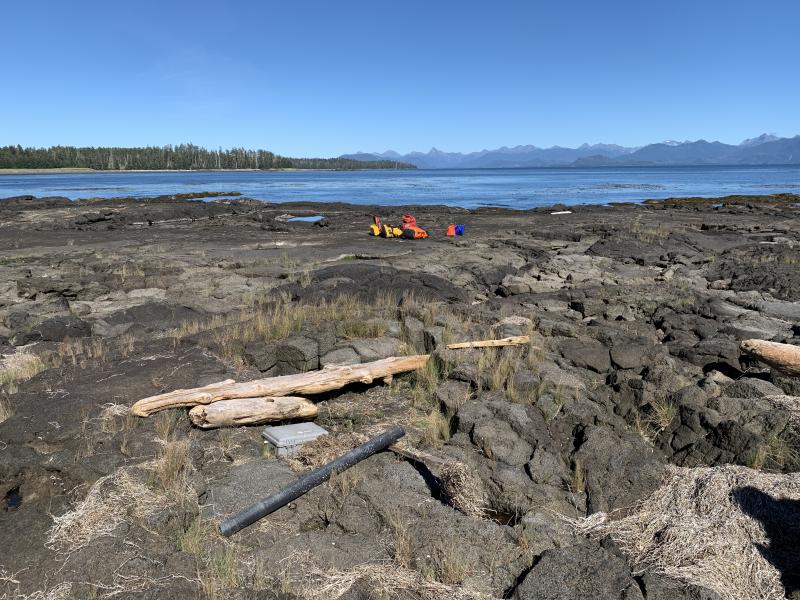 Claire Puleio and Laura Clor investigated a citizen report of a hole in the ground with air movement coming from it, possibly associated with a sulfur smell, at Shoals Point on Kruzof Island. A multi-GAS was used (grey box seen on ground in foreground, positioned at the opening of the hole), but no anomalous gases were detected, nor were sulfur smells present on the day of our visit. 