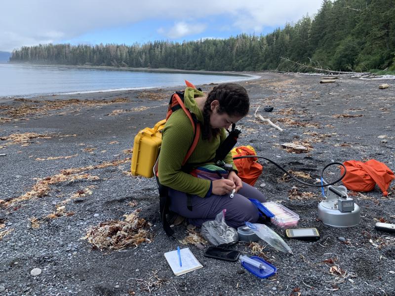 Claire Puleio collecting a vial of gas for carbon-isotope analysis during diffuse CO2 flux measurements at &quot;Beach 4&quot; on Kruzof Island.