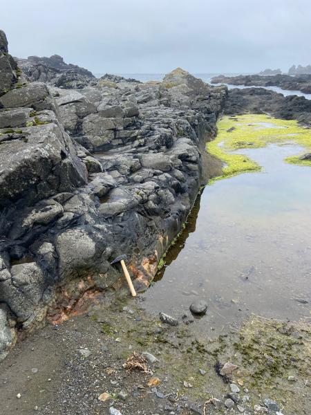 Andrew Bay hotsprings. Hammer is along a line of fractures with water seeping out along the margin of an apparent dike in Andrew Bay volcano.