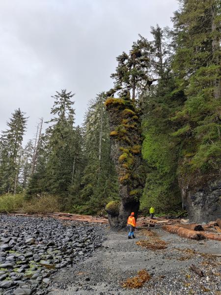 AVO field workers and helicopter pilot examine a lava pillar found on a beach on the east side of Kruzof Island. The main part of the lava flow is visible as a cliff on the right. Taken during fieldwork at Mount Edgecumbe, May 2024.