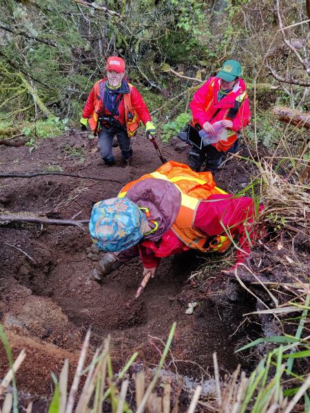 AVO geologists Michelle Coombs (back left), Cheryl Cameron (back right), and Kristi Wallace (foreground) examine tephra layers at an outcrop on the east side of Kruzof Island. Taken during fieldwork at Mount Edgecumbe, May 2024.