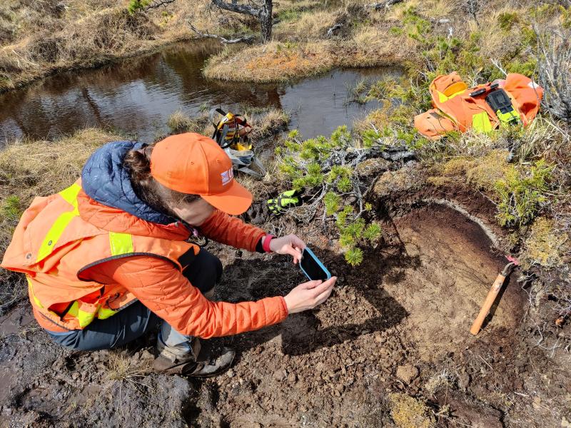 AVO/USGS geologist Michelle Coombs takes a photo of a site where tephra and peat layers have been exposed for documentation and sampling. Located in a bog on the east side of Kruzof Island. Taken during fieldwork at Mount Edgecumbe, May 2024.