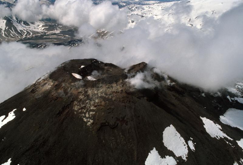 Southwest (New) Trident cone. 