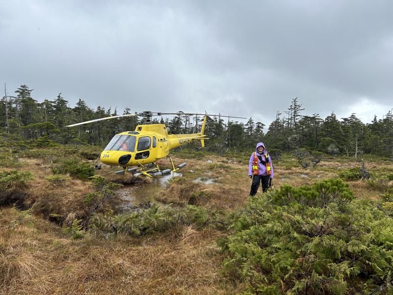 Abbey Nastan (ADGGS/AVO) at boggy LZ for Station 24EDEC017. Mount Edgecumbe field work, May 2024. 