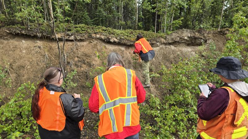 AVO personnel and students examine a roadside outcrop of White River Ash-North (a volcanic ash left by an extremely large eruption of Mt. Churchill) west of Chicken, Alaska. The ash is visible as a light gray layer underneath the modern vegetation and soil.