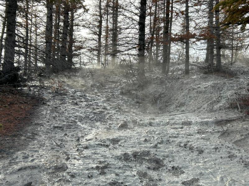 Shrub mud volcano with mud springs, September 2024. Photo by Mitch Mitchell, AVO-DGGS.