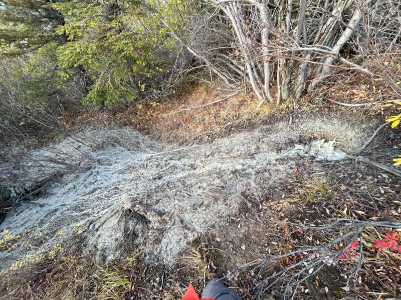 Shrub mud volcano with mud springs, September 2024. Photo by Mitch Mitchell, AVO-DGGS.