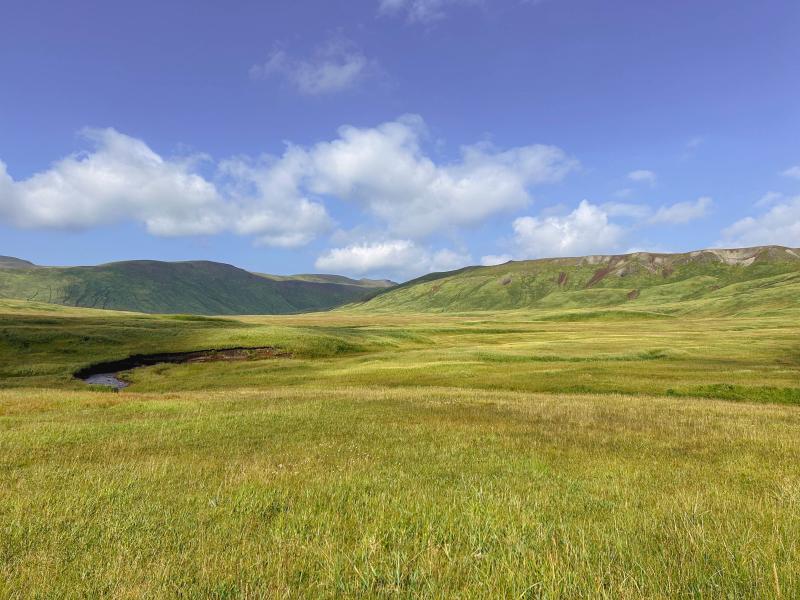Stream cut in flats west of Kliuchef volcano. Tephra site 25AAMC042 is along cut bank. Photo taken during field work at Atka volcanic complex, northern Atka Island. 