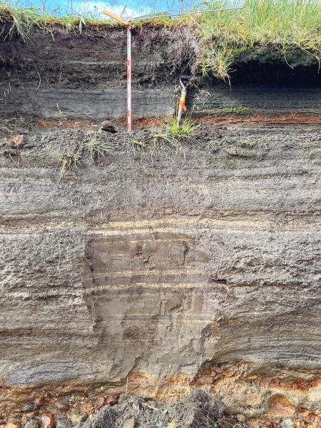 Tephra section at 25AAMC042, about 5 miles southwest of Korovin volcano. Photo taken during field work at Atka volcanic complex, northern Atka Island. 