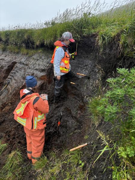 AVO Geologists M. Coombs and H. Dietterich describing a tephra section at station 25AAHD010.