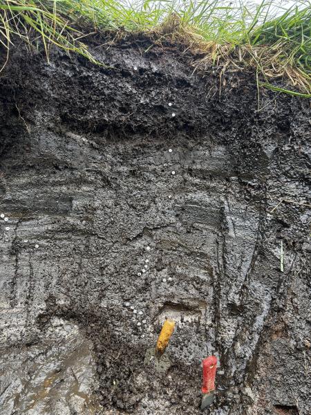 Close up image of the tephra section at station 25AAHD010.