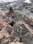 Suspected 2020 lava flow high on the northeast flank of Shishaldin. Two samples were collected: a flow top textural sample by the hammer and a dense flow interior sample for geochemistry from the blocky region of the flow in the center of the image. Warm steam still is emitted from cracks on the flow, visible on the left side of the image.