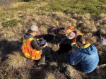 AVO Geologists M. Loewen, M. Coombs, and K. Wallace logging a small tephra section located just north of Beluga containing 1953 and 1992 tephras from Mount Spurr.