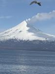 View of Shishaldin volcano steaming as seen from the F/V Arctic Prowler on the southside of Unimak Island.